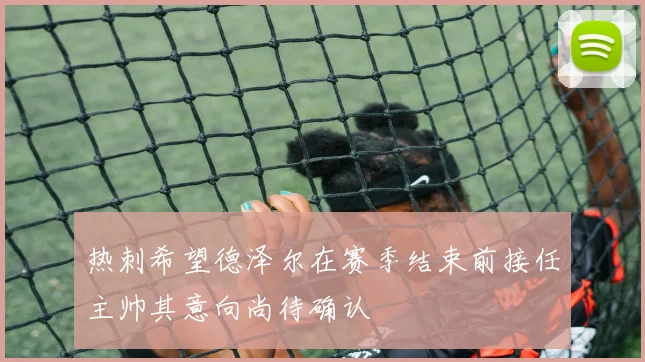 热刺希望德泽尔在赛季结束前接任主帅其意向尚待确认